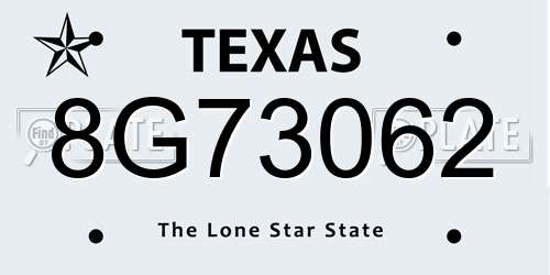 8G73062 Texas License Plate