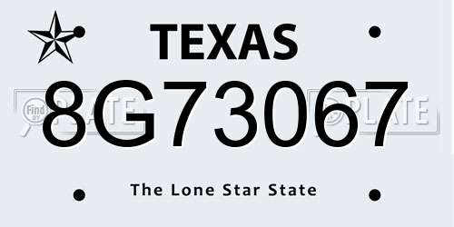 8G73067 Texas License Plate