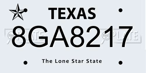 8GA8217 Texas License Plate