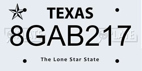 8GAB217 Texas License Plate