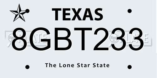 8GBT233 Texas License Plate
