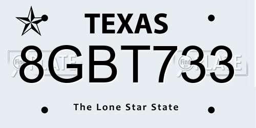 8GBT733 Texas License Plate
