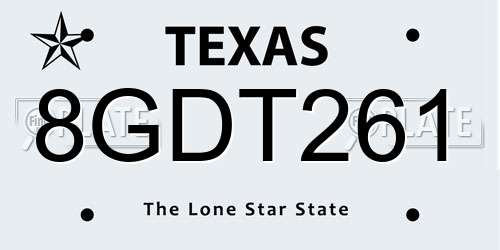 8GDT261 Texas License Plate