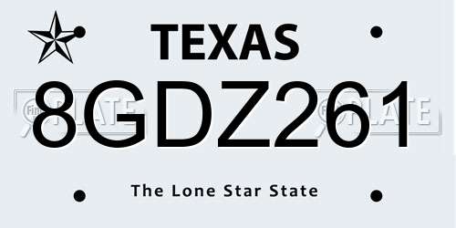 8GDZ261 Texas License Plate