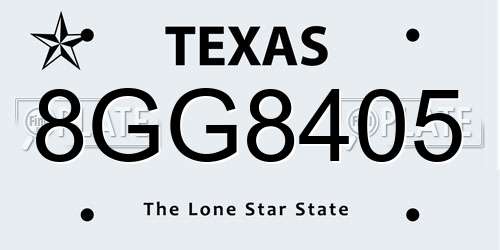 8GG8405 Texas License Plate