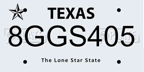 8GGS405 Texas License Plate