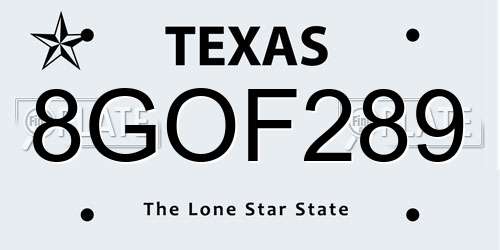 8GOF289 Texas License Plate