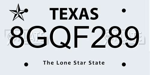 8GQF289 Texas License Plate