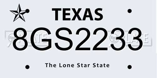 8GS2233 Texas License Plate