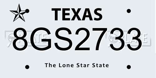8GS2733 Texas License Plate