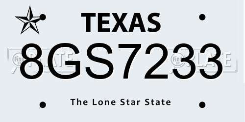 8GS7233 Texas License Plate