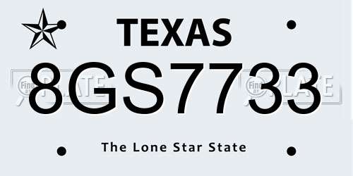 8GS7733 Texas License Plate