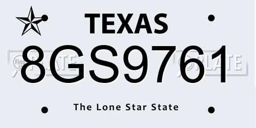8GS9761 Texas License Plate