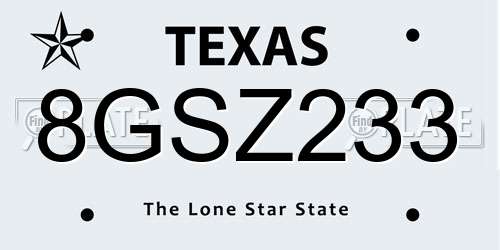 8GSZ233 Texas License Plate