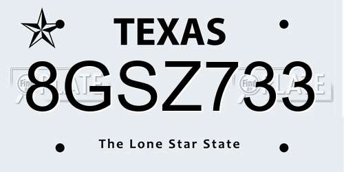8GSZ733 Texas License Plate