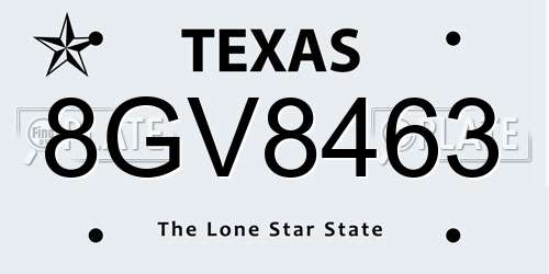 8GV8463 Texas License Plate