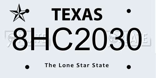 8HC2030 Texas License Plate