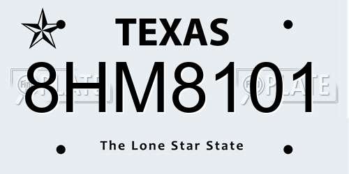 8HM8101 Texas License Plate