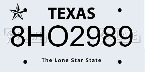 8HO2989 Texas License Plate