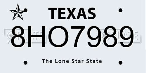 8HO7989 Texas License Plate