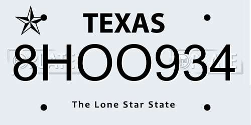 8HOO934 Texas License Plate
