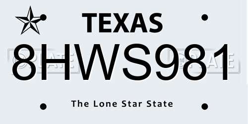 8HWS981 Texas License Plate