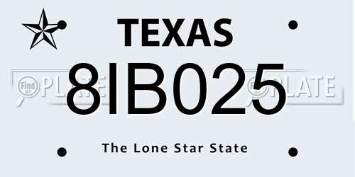 8IB025 Texas License Plate
