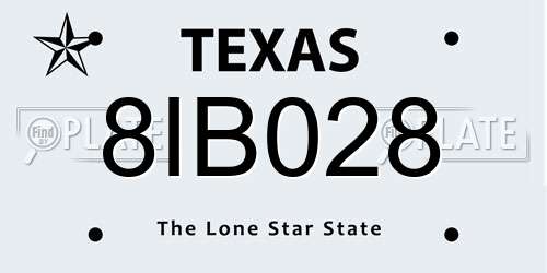 8IB028 Texas License Plate