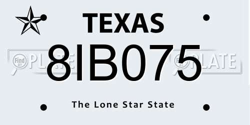 8IB075 Texas License Plate