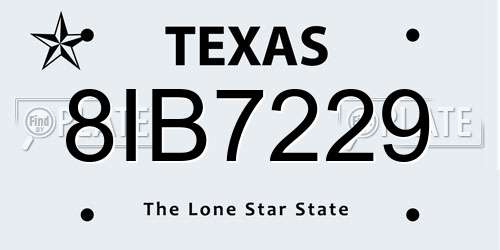 8IB7229 Texas License Plate