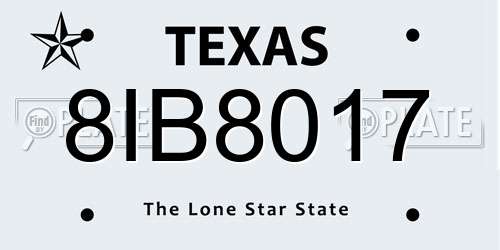 8IB8017 Texas License Plate