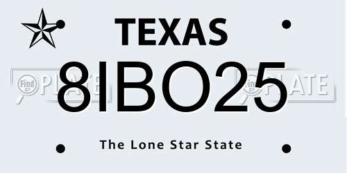 8IBO25 Texas License Plate