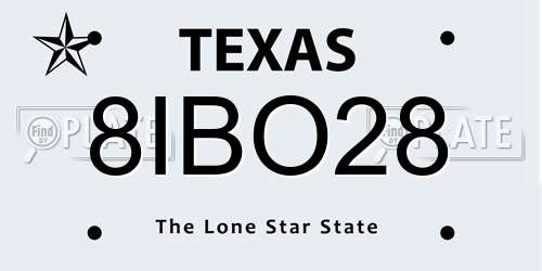8IBO28 Texas License Plate