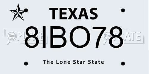 8IBO78 Texas License Plate