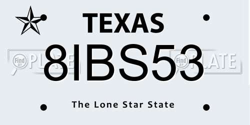 8IBS53 Texas License Plate