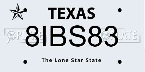 8IBS83 Texas License Plate