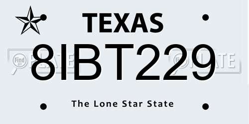 8IBT229 Texas License Plate
