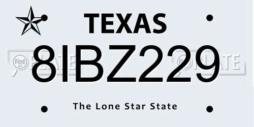 8IBZ229 Texas License Plate