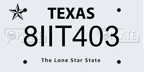 8IIT403 Texas License Plate