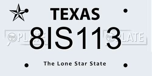 8IS113 Texas License Plate