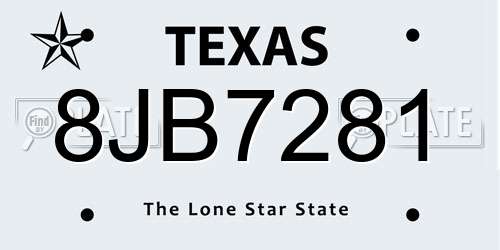 8JB7281 Texas License Plate