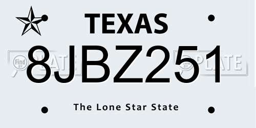 8JBZ251 Texas License Plate