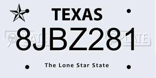 8JBZ281 Texas License Plate