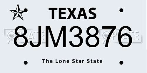 8JM3876 Texas License Plate