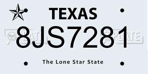 8JS7281 Texas License Plate