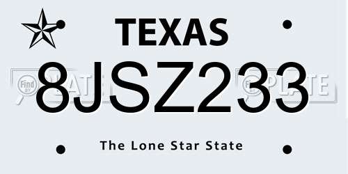 8JSZ233 Texas License Plate