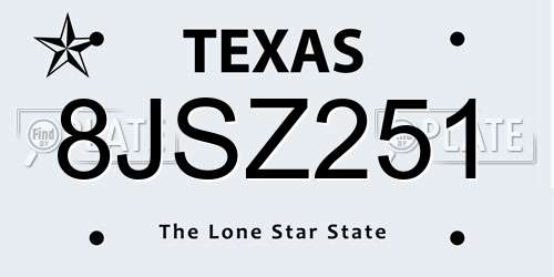 8JSZ251 Texas License Plate