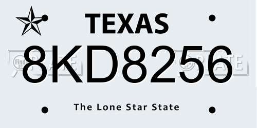 8KD8256 Texas License Plate