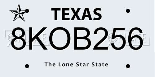 8KOB256 Texas License Plate
