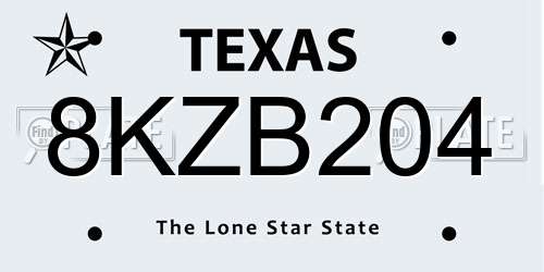 8KZB204 Texas License Plate